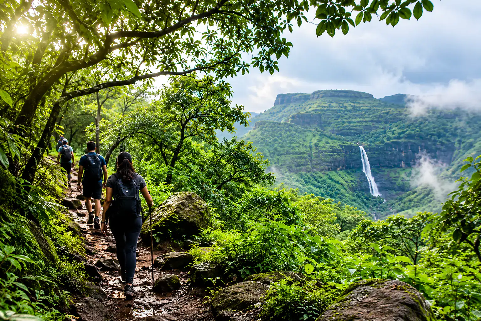 Trekkers on a forest trail with a waterfall across the valley